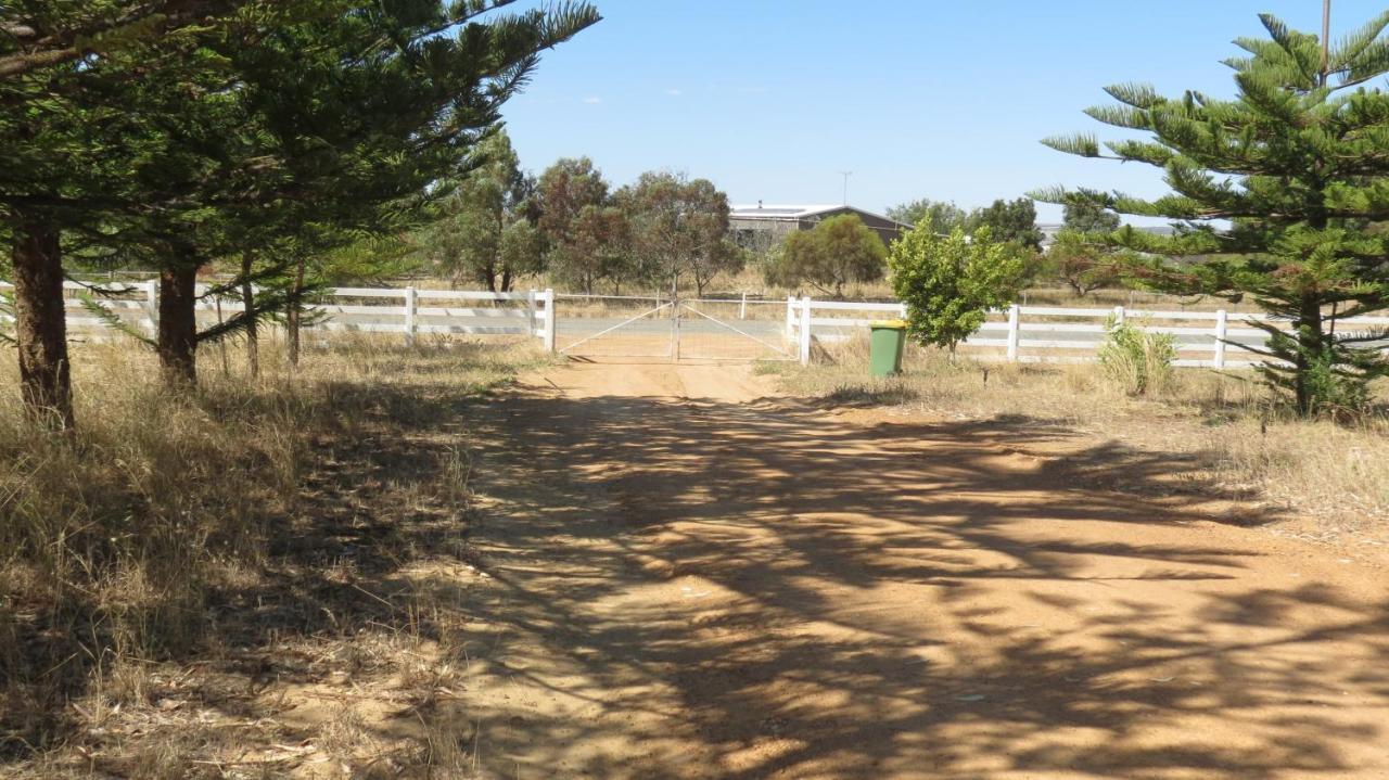 Turquoise Coast Lodge Jurien Bay Esterno foto